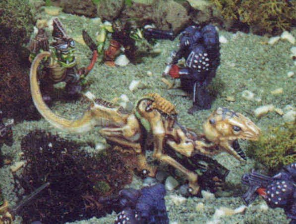 Tyranid Prototype model